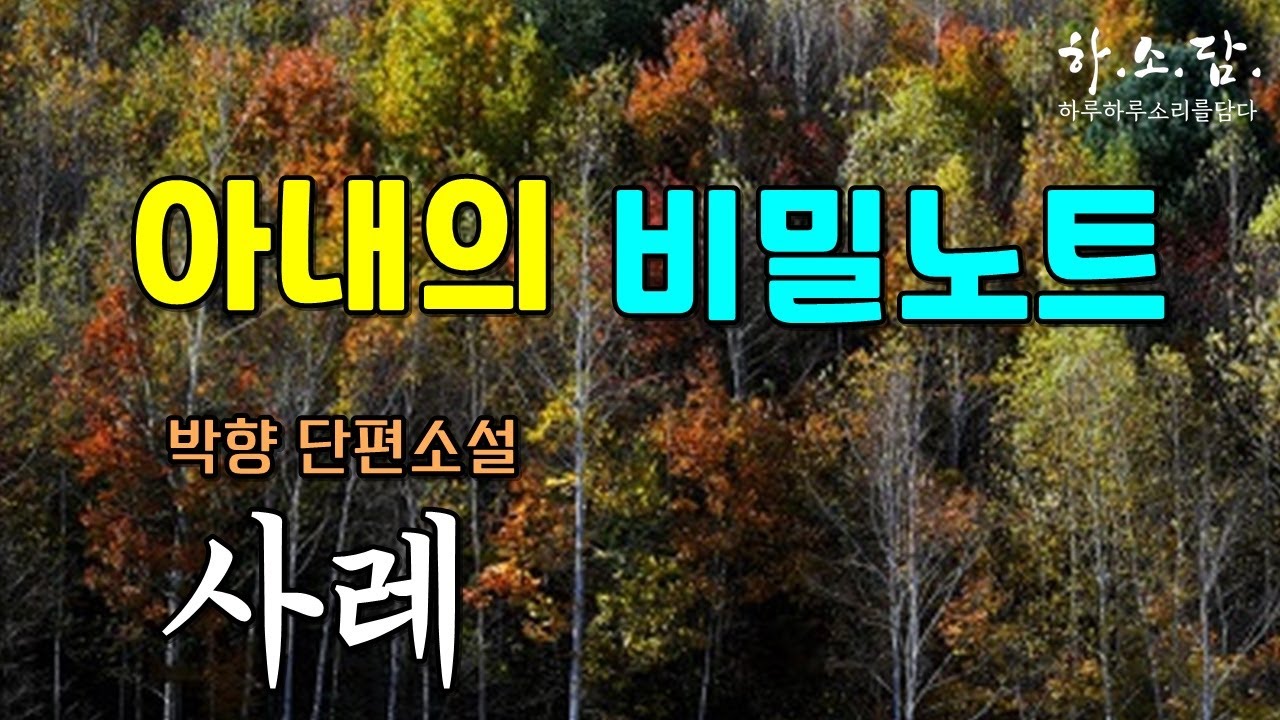 이십 년을 한 집에 살아도 알지 못하는 부부사이... [ 사레 - 박향 단편소설 ] 