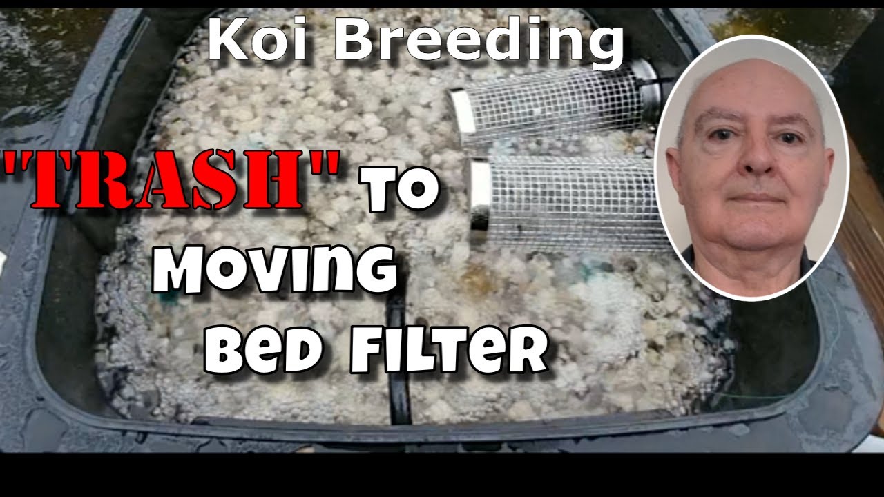 How I Made a 240L Trash Bin into an Amazing Koi Filter!