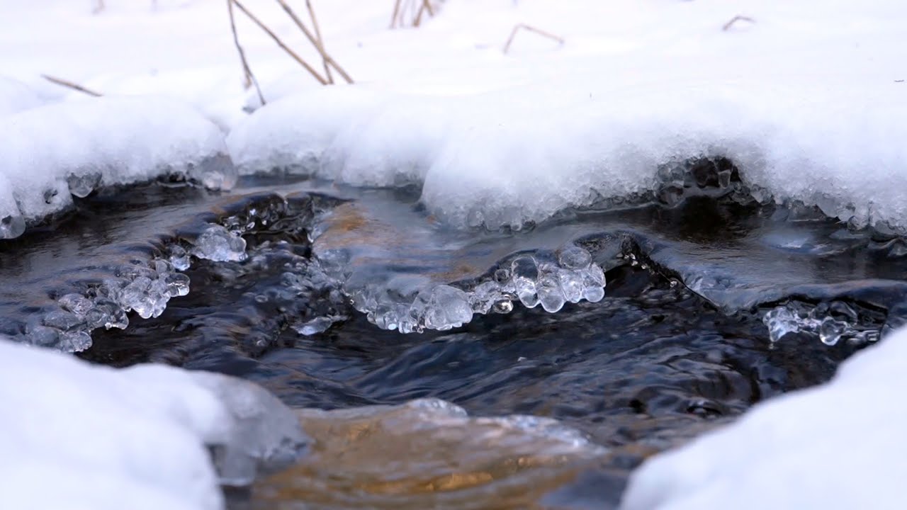 Clear Cold Stream Sounds 10 Hours 🧊 Real Nature White Noise for Study, Work & Meditation (ASMR)