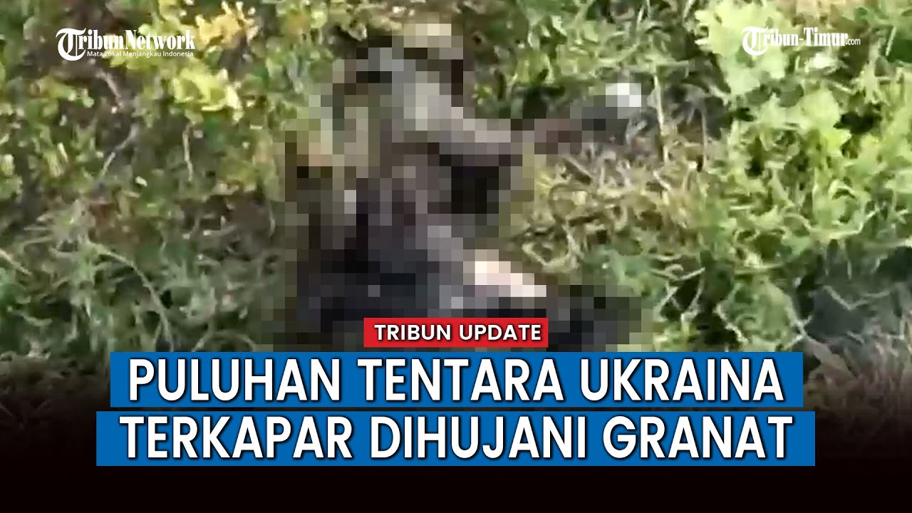 Drone dan Belasan Granat Dilempar Operator Rusia ke Pasukan Ukraina di  Zaporozhye