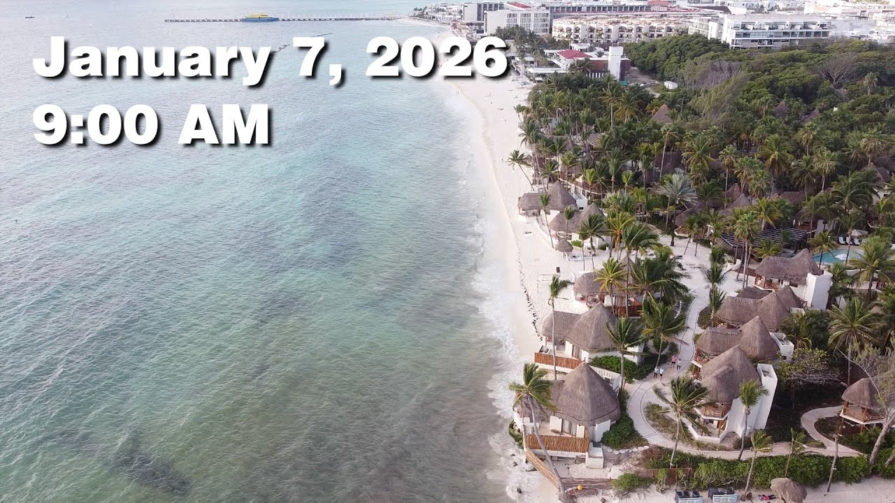 Daily Sargassum Sargasso Seaweed Report at Playa del Carmen, Mexico - January 7, 2026 #sargassum