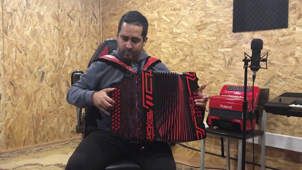 O EMIGRANTE | CARMEN SILVA | NA CONCERTINA