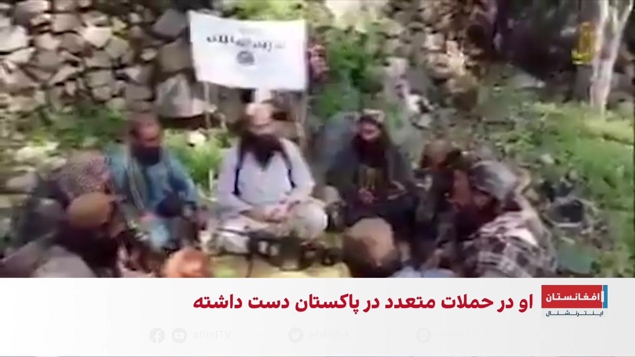کشته‌شدن یکی از رهبران برجسته تی‌تی‌پی