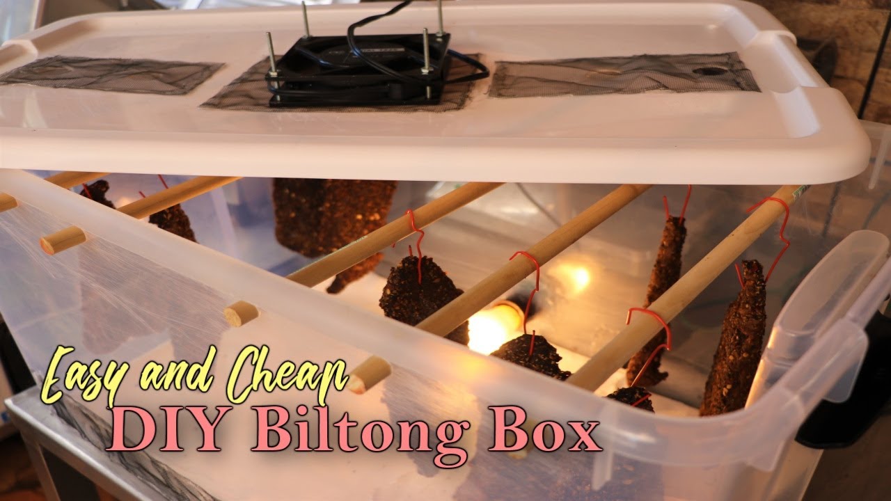 Easy & Cheap Way to Build a Biltong Box - Dry Curing Meat for Beginners