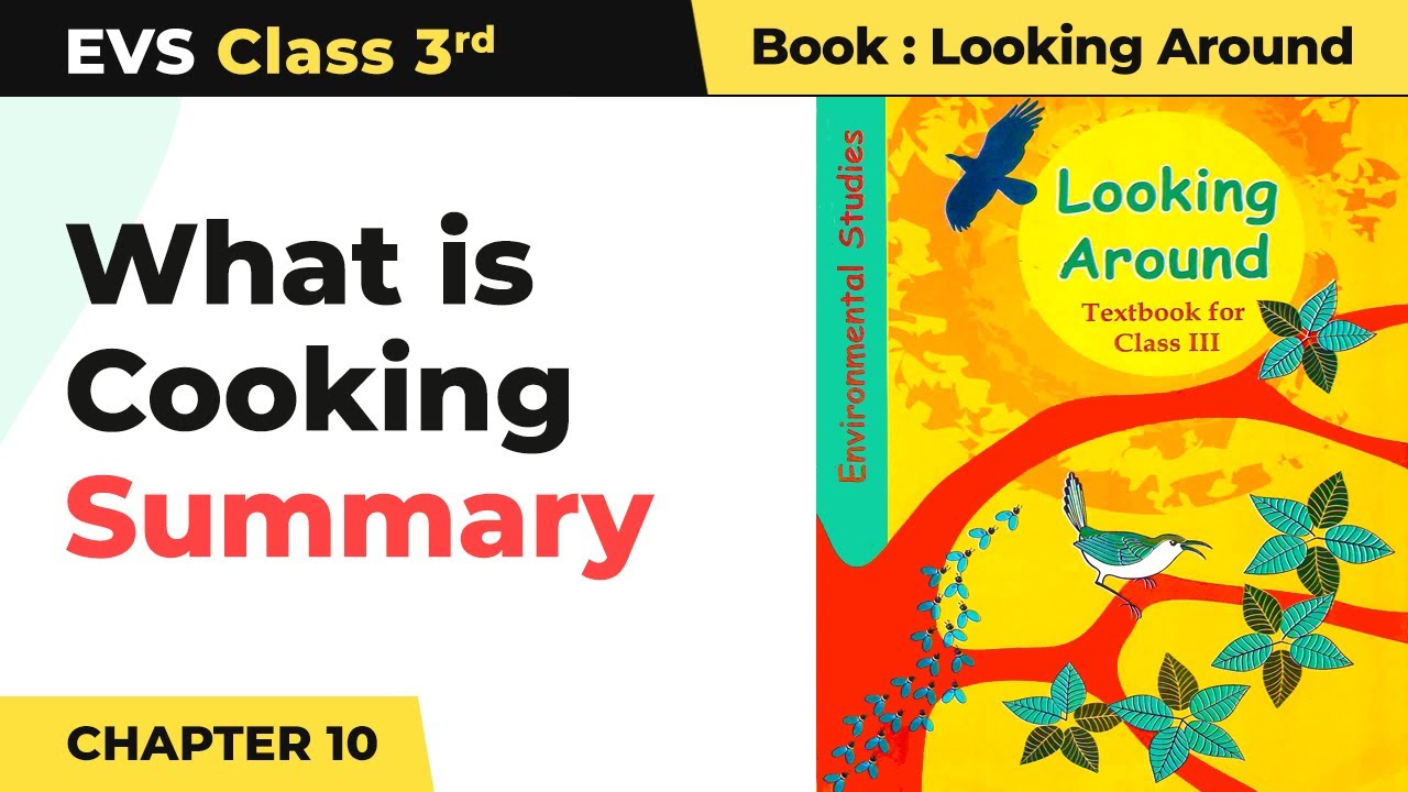 Class 3 EVS Chapter 10 | What is Cooking - Summary