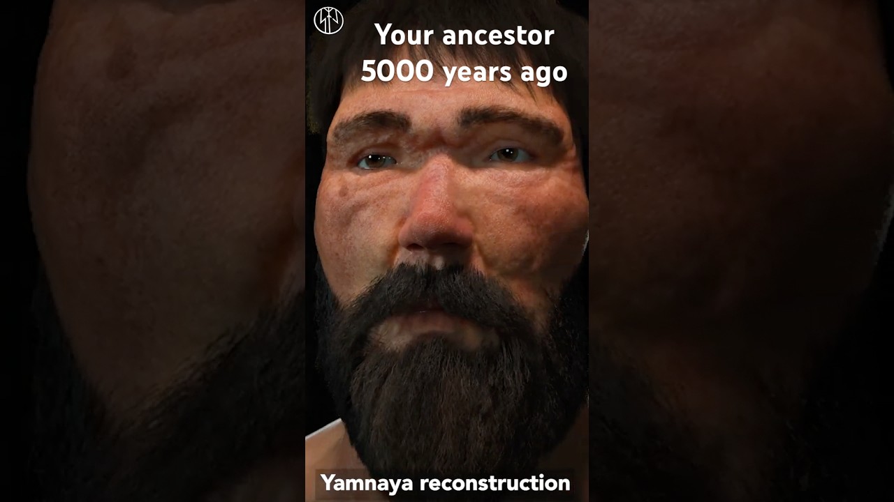 What did Yamnaya look like? Proto-Indo-Europeans