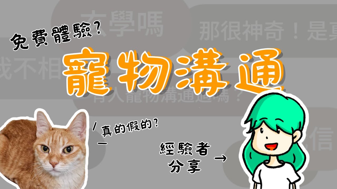 寵物溝通？上過課的經驗分享給你！價格、溝通步驟、挫折一次說給你聽