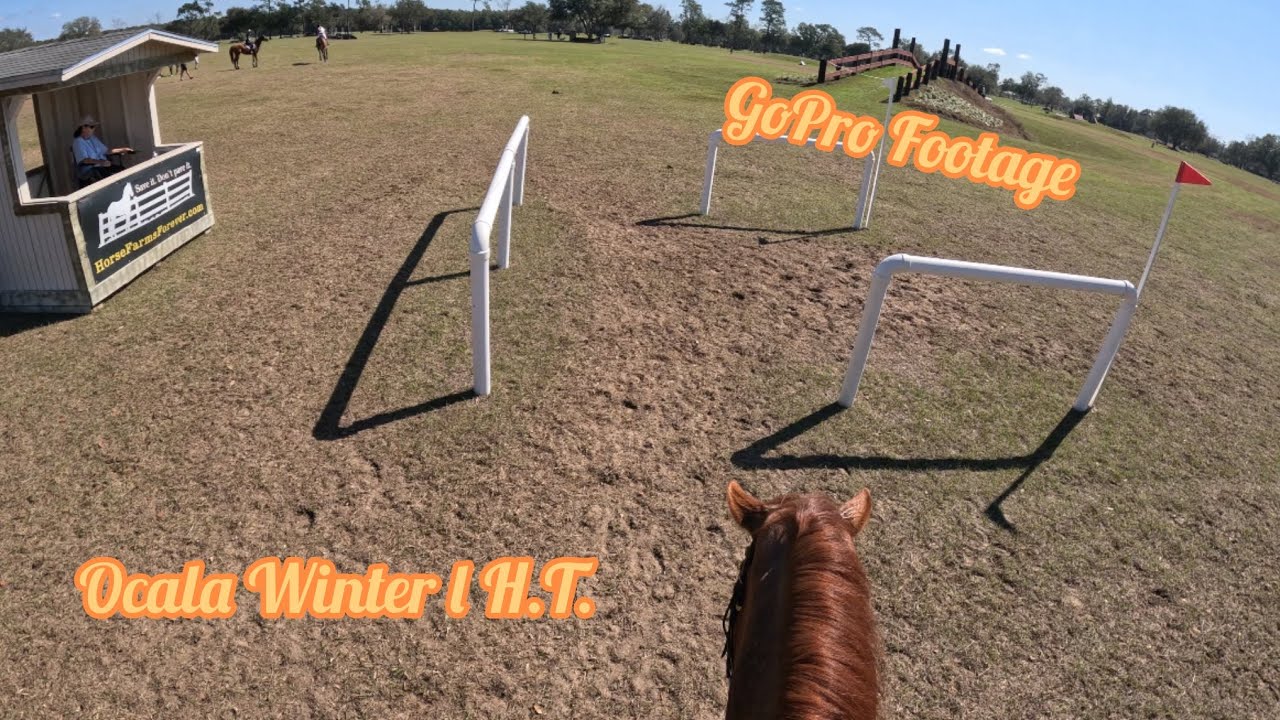 Novice XC GoPro Footage Ocala Winter ll H.T.