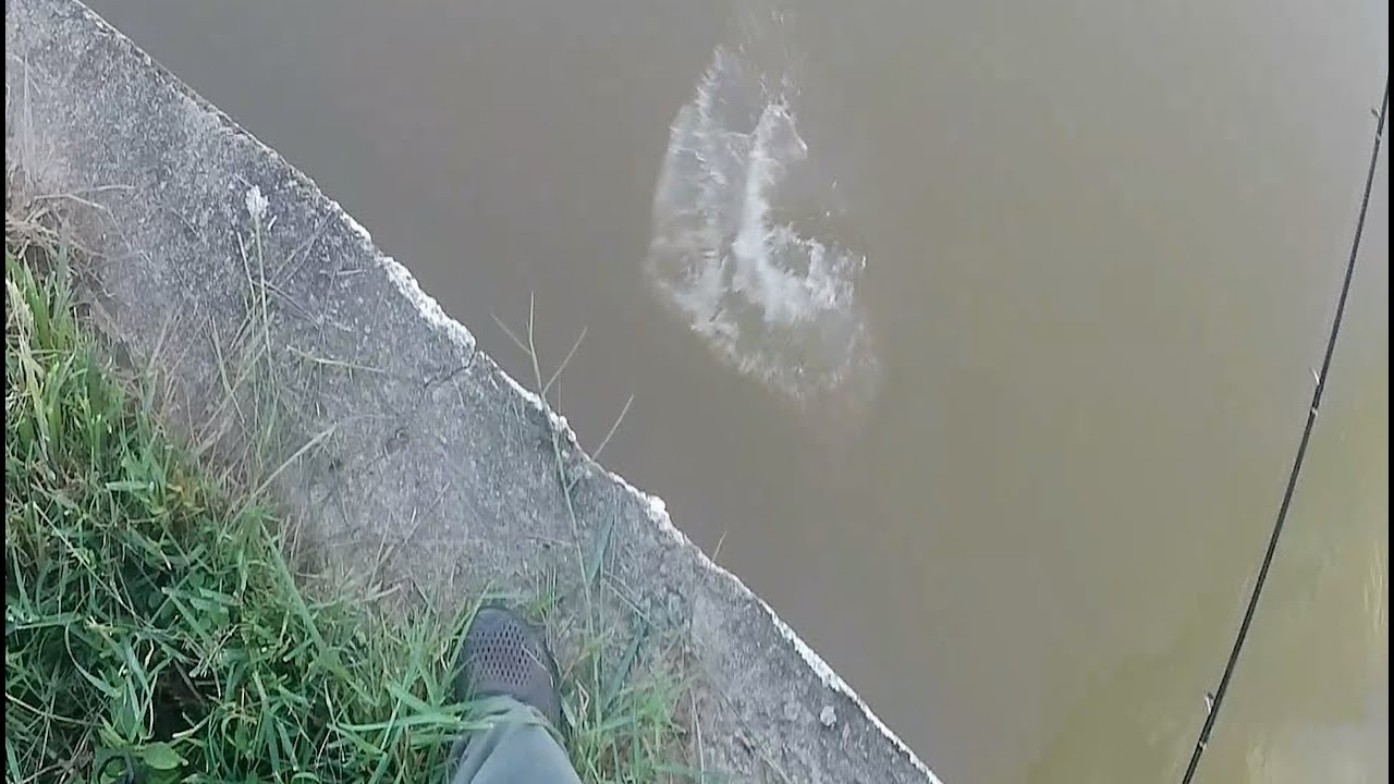 Bottom Santai Tandop Sungai Baru Tak Sangka DI Sambar SIAKAP LIAR
