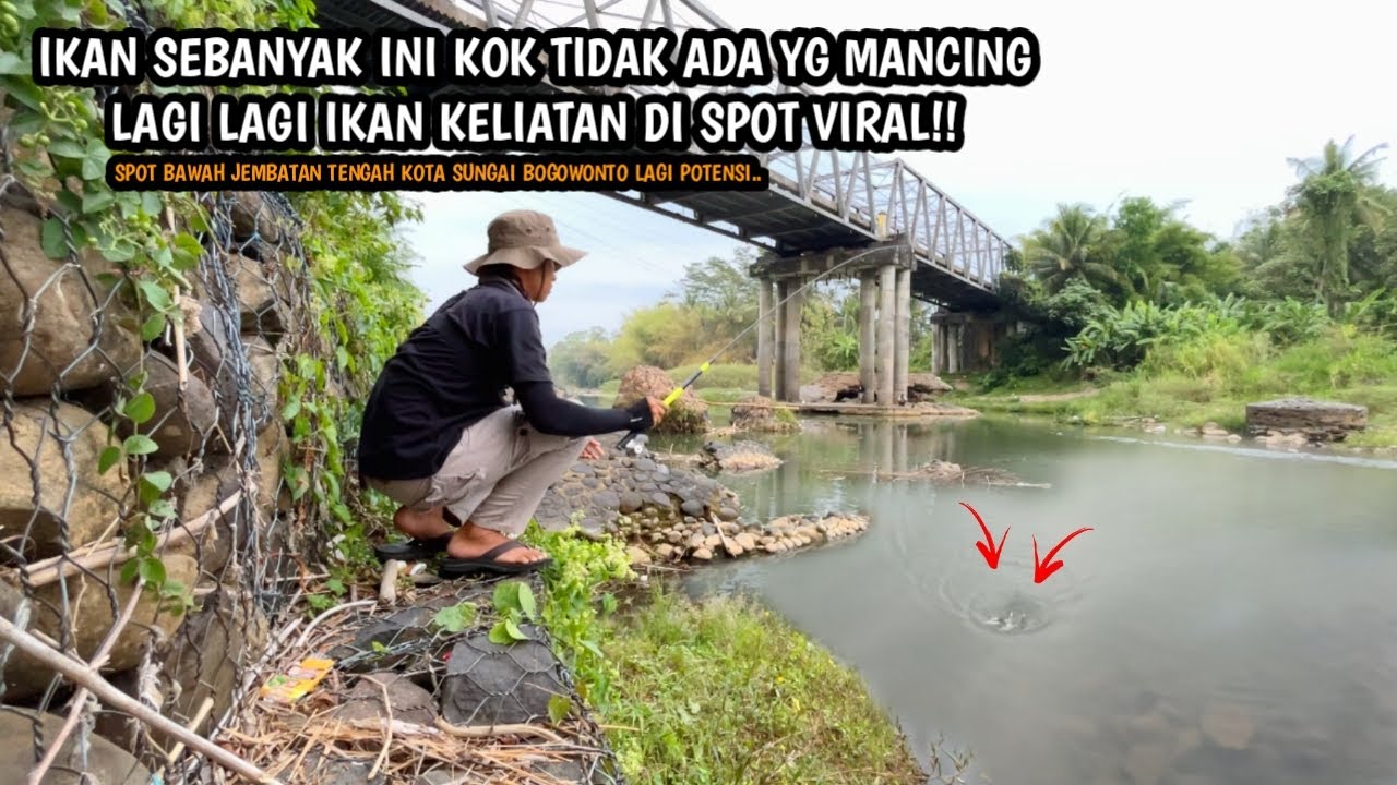 IKAN SEBANYAK INI TIDAK ADA YANG MANCING!! Mancing wader dan melem teknik kumbul di sungai Bogowonto