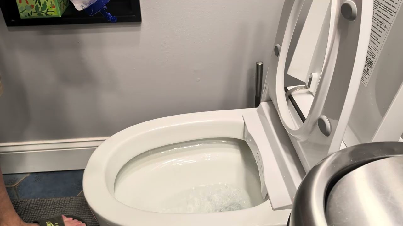 Eplo g18 male urination auto flushes 