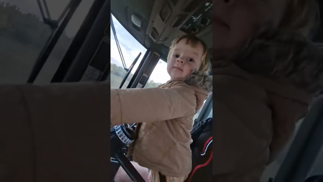 Синий трактор по полям #трактор #babysam
