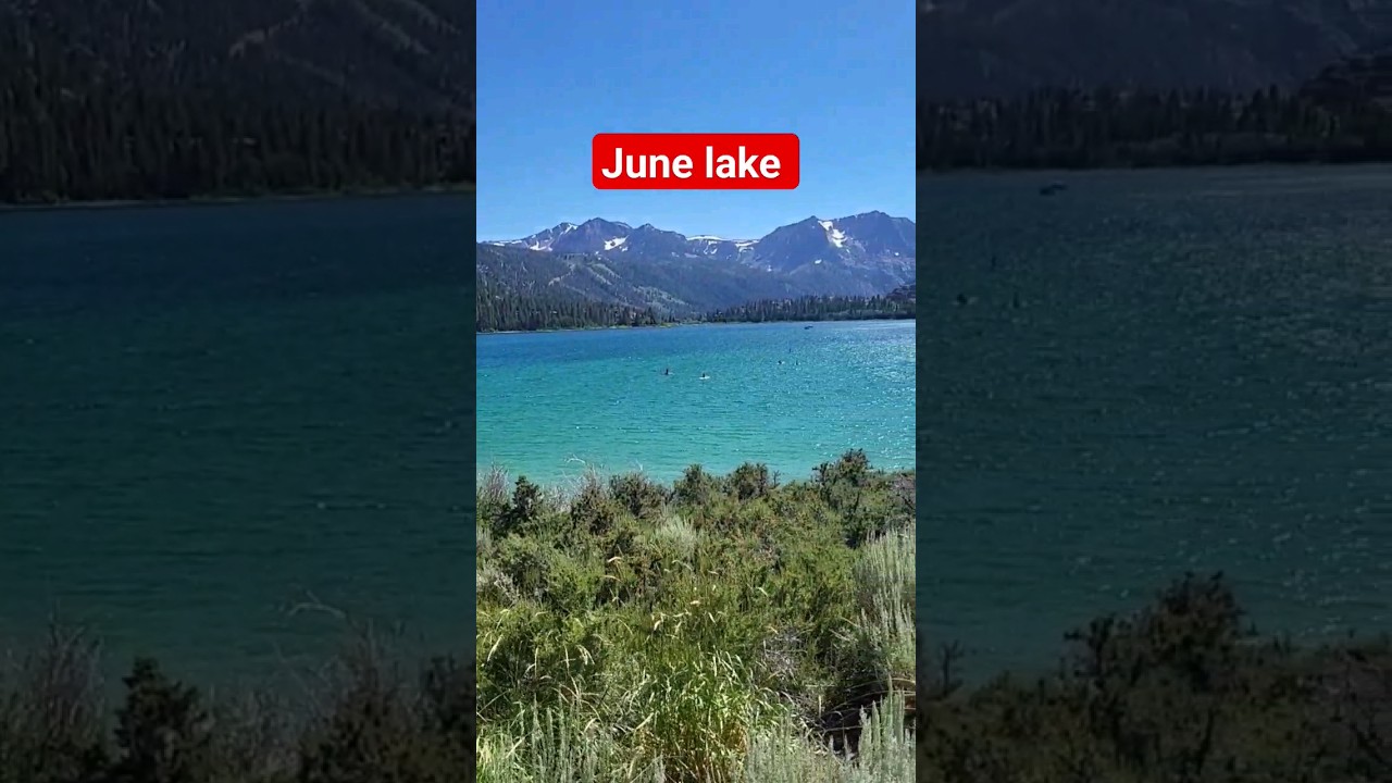 june lake california/ Aventuras Con Ivan🐕