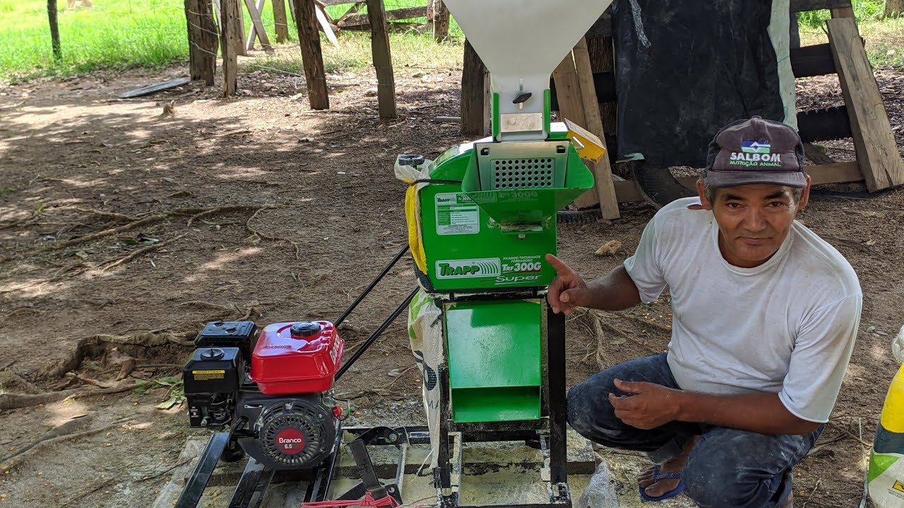 Triturando milho na forrageira Trapp Trf-300g a gasolina pela primeira vez