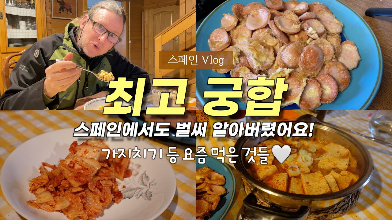 스페인에서도 알아버렸어요! 김치 있어 너무 든든한 요즘 일상, 가지치기하고 장작하는 일상