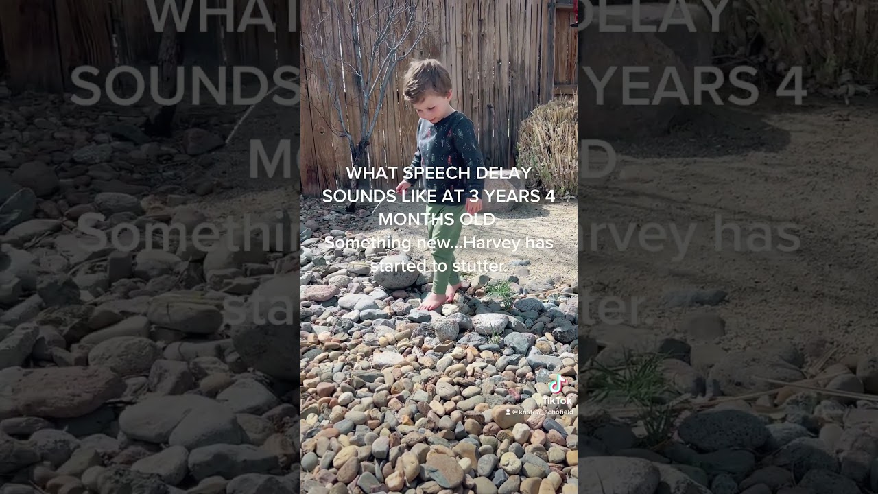 What speech delay sounds like at 3 years old.