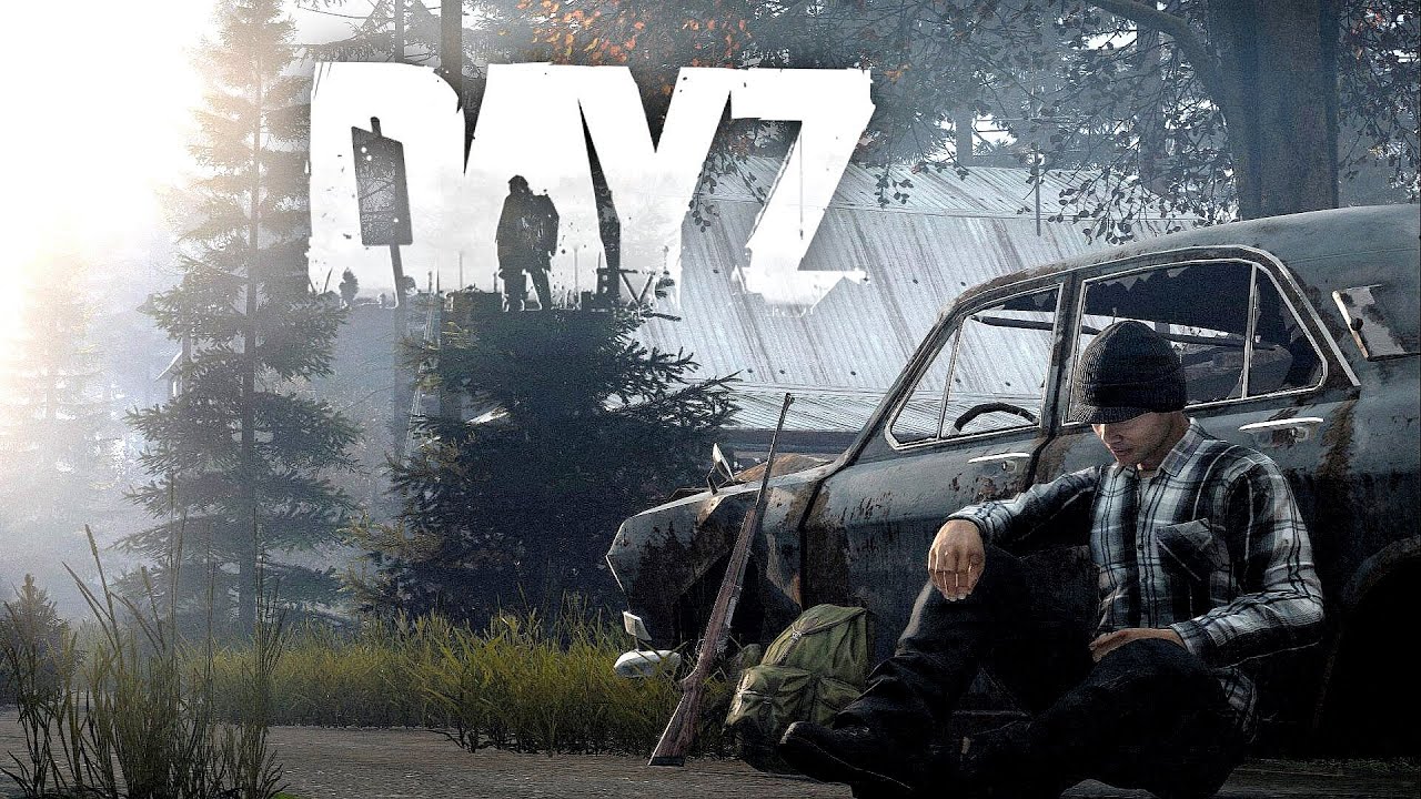 My CRAZIEST LIFE in 15000 hours of DAYZ!