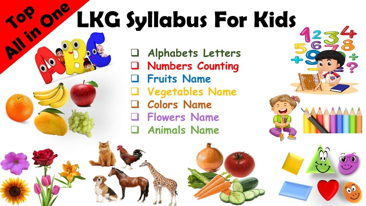 Preschool Complete Course| Learn ABCs, Colors, 123s, Phonics, Counting, Numbers, Animals, Birds etc.