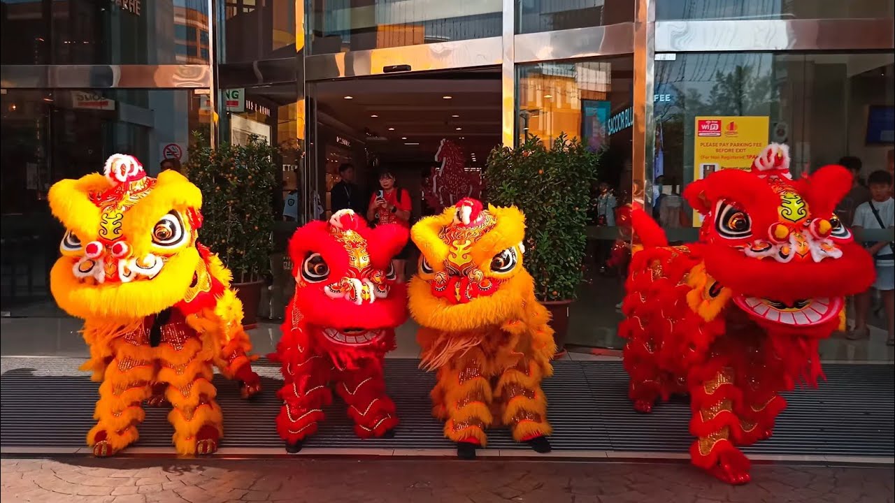 Lion Dance, a festive tradition expressing courage, harmony, and good luck