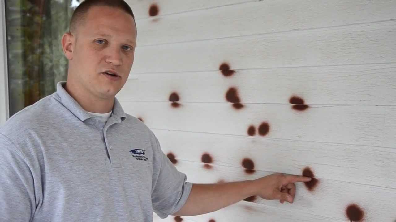 ﻿Tom Lopatosky Talks About Rusty Nails