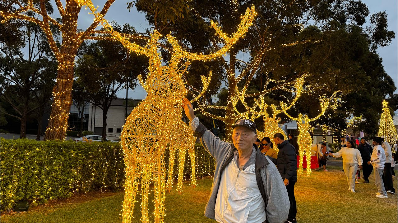 Christmas lights 2025聖誕燈光