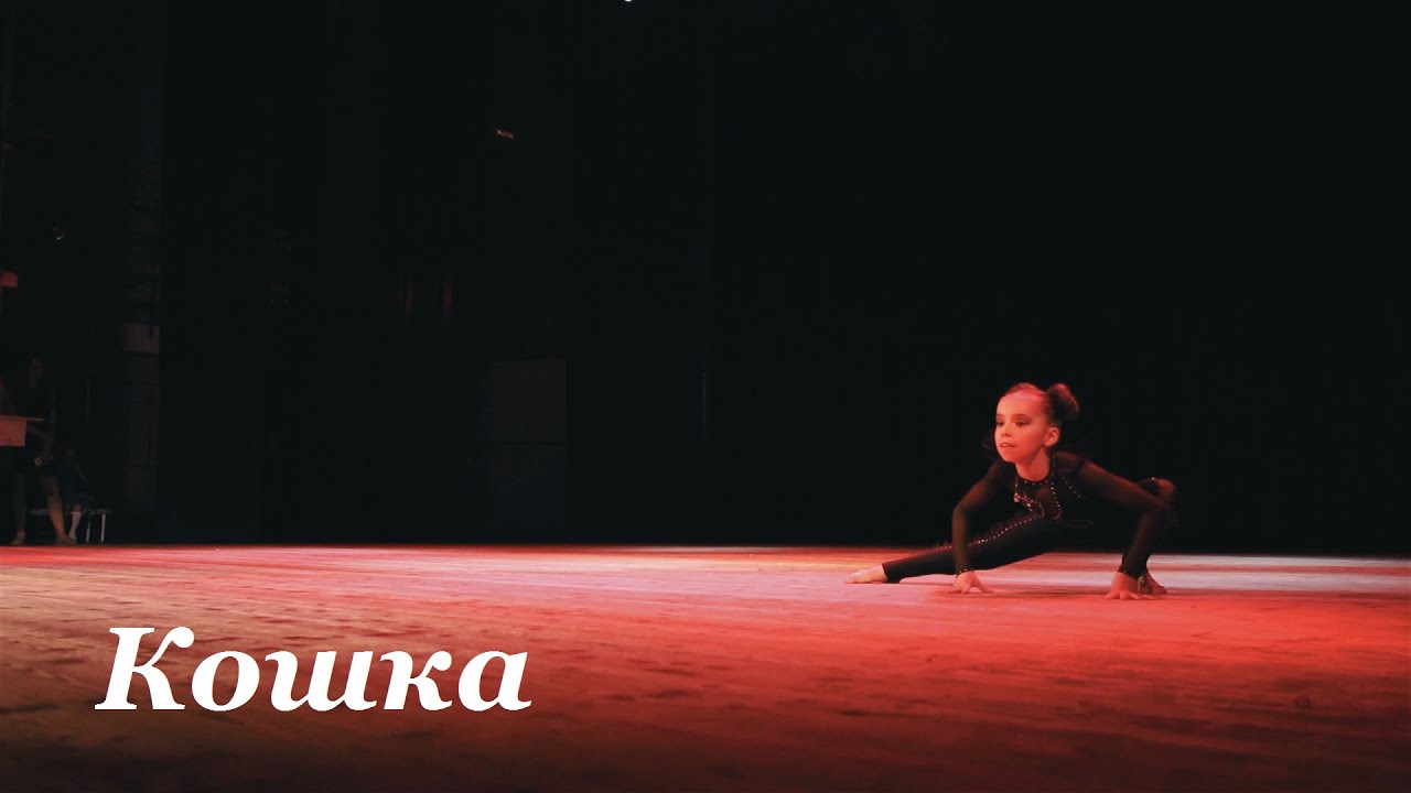 Кошка (Кусяк Майя) - Школа современного танца Bolero