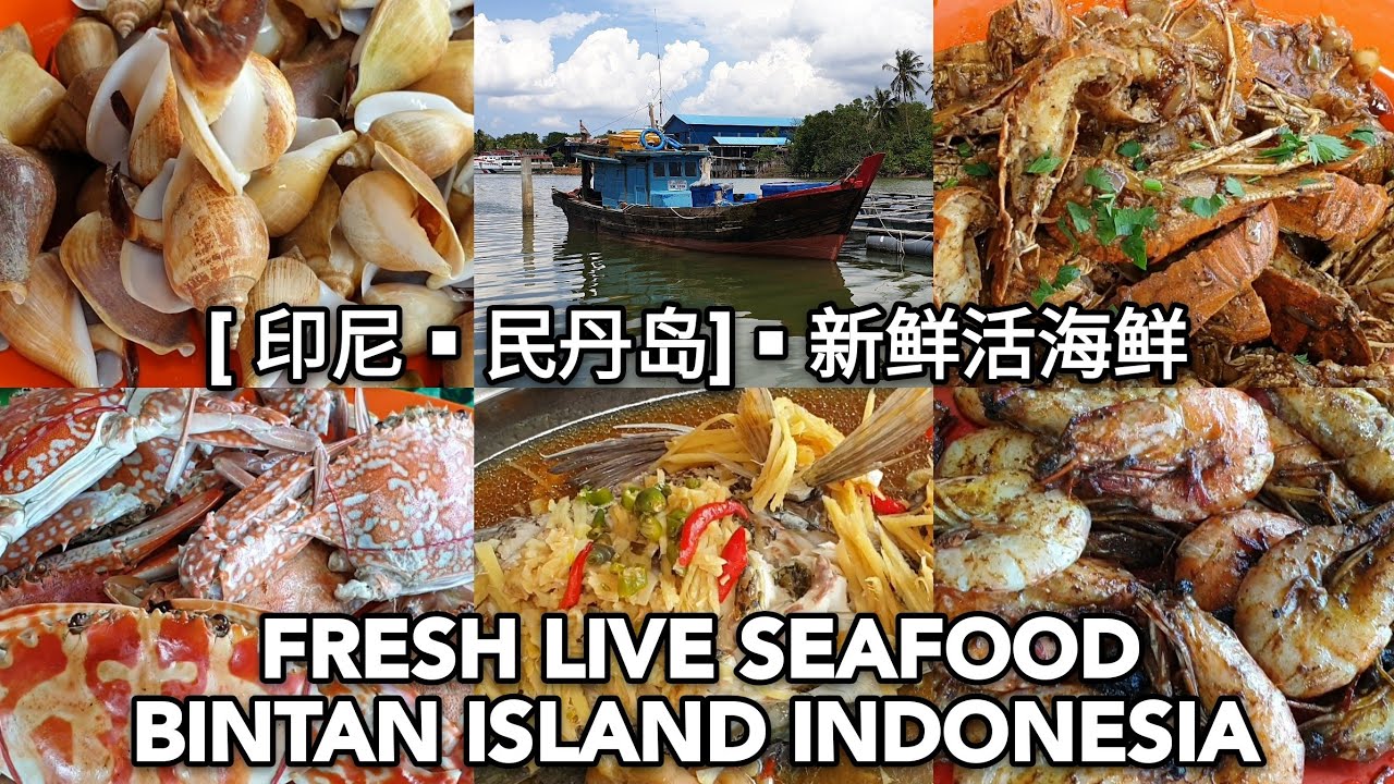 FRESH LIVE SEAFOOD RESTAURANT IN BINTAN ISLAND INDONESIA 印尼民丹岛新鲜的活海鲜餐馆