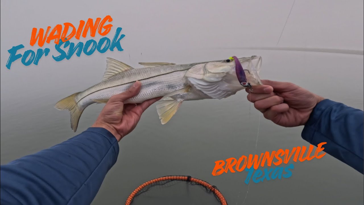 Snook catch in Brownsville Texas