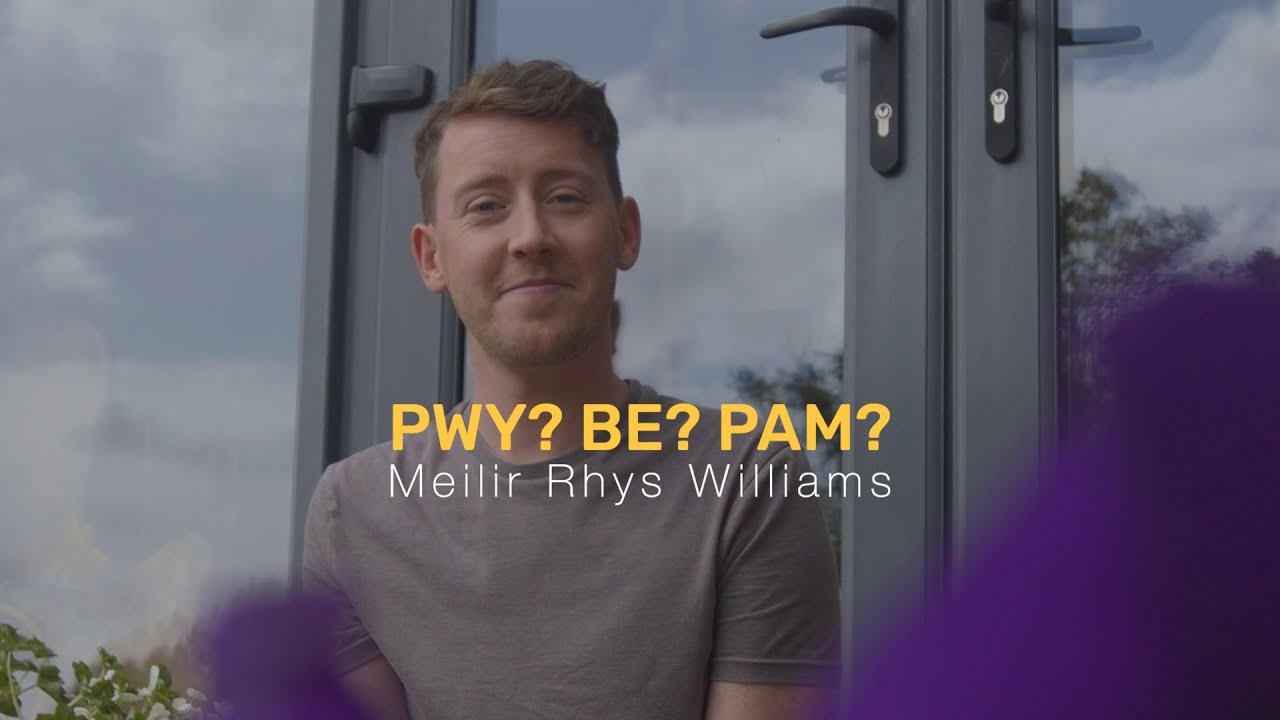 PWY? BE? PAM? - Meilir Rhys Williams