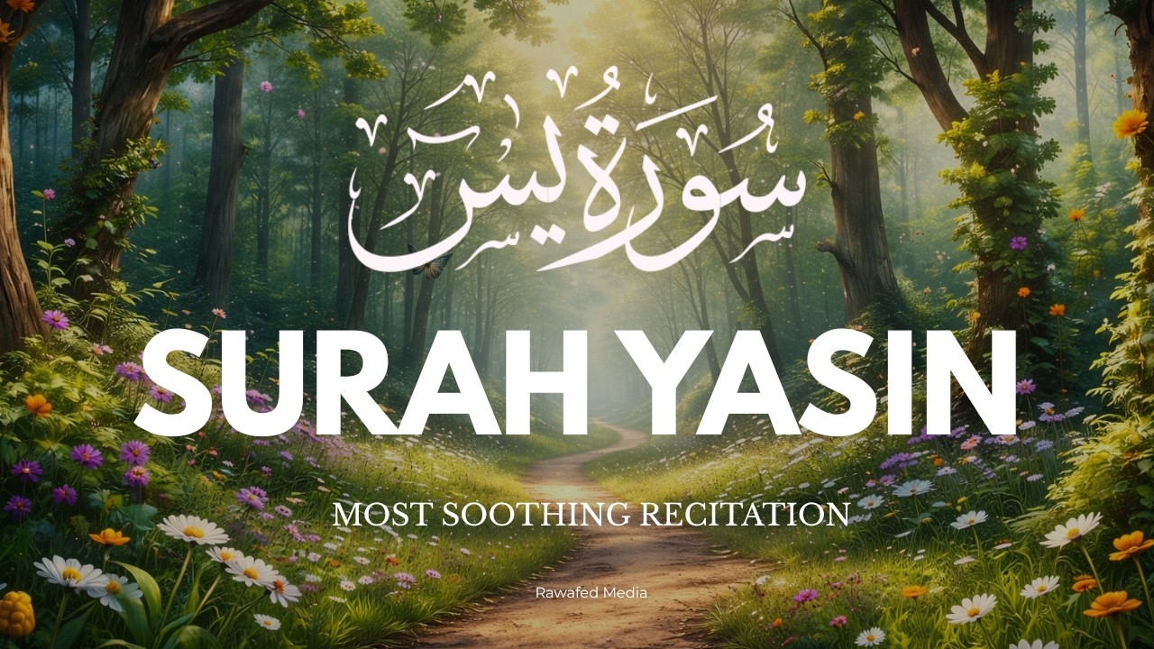 Surah Yaseen سورة يس | Soothing & Beautiful Recitation for Inner Peace by Alaa Aqel #surahyaseen