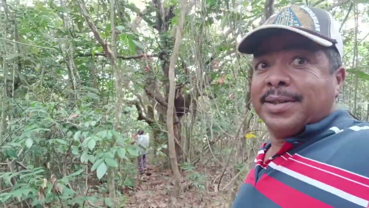 Fui na serra junto a minha esposa e olha que aventura
