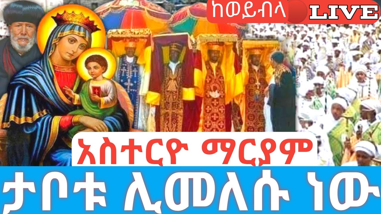 ታቦታቱ ሊመለሱ ነው❗️አስተርዮ ማርያም❗️ 🛑ቀጥታ ከወይብላ ማርያም 41 ኢየሱስ #ethiopian_orthodox_tewahdo