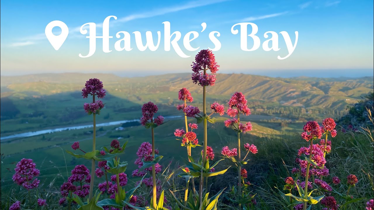 New Zealand Travel | Hawke’s Bay | Wine & Coastal Beauty Cinematic Video 