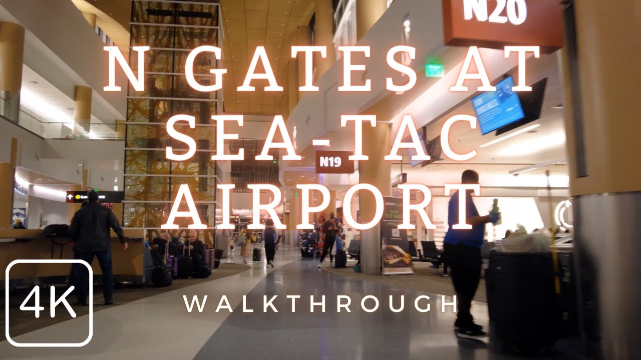 Exploring the Sea-Tac Airport N Gate, Walk at Seattle Tacoma International Airport, Seattle, WA