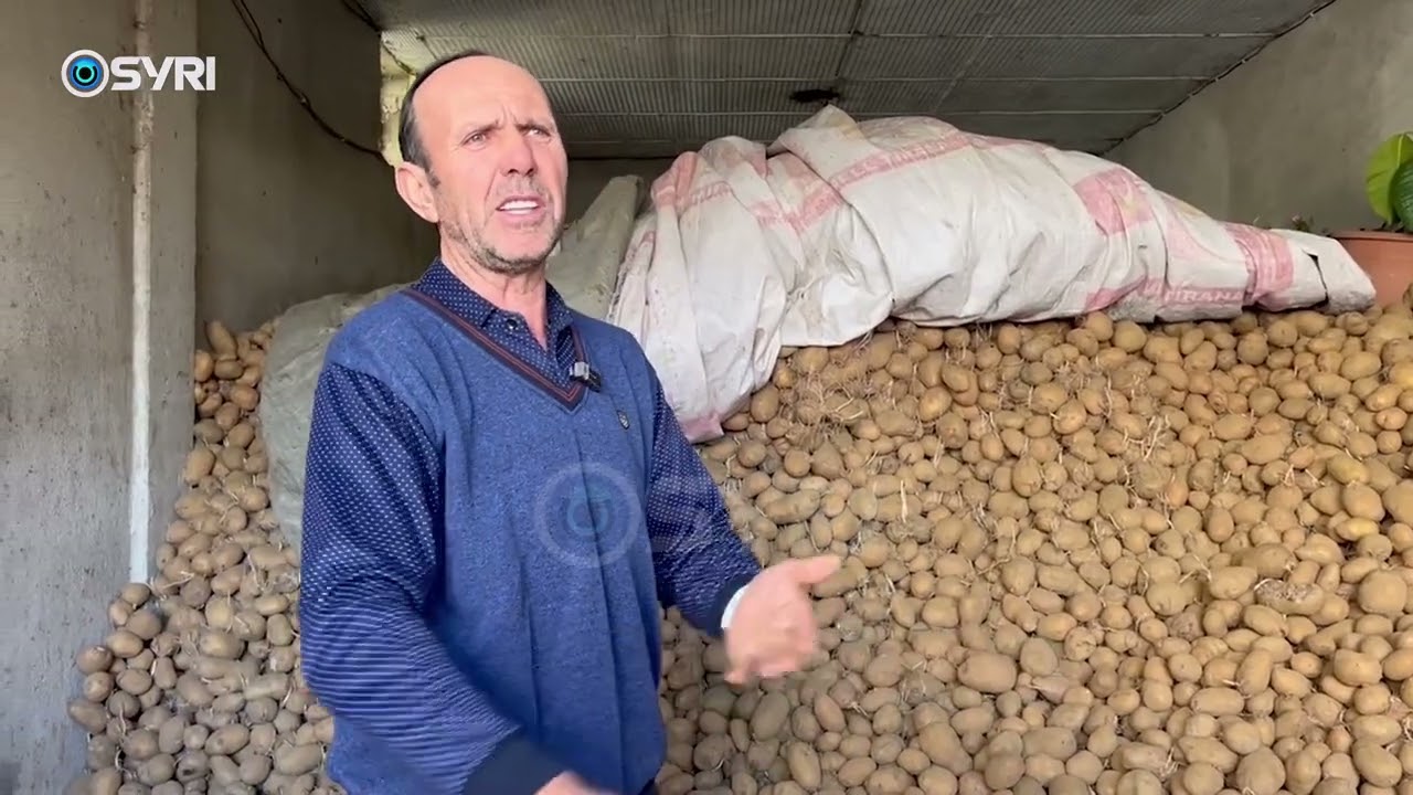 Stok prodhimesh në Orman të Maliqit, fermerët të zhgënjyer e pambështetje nga shteti