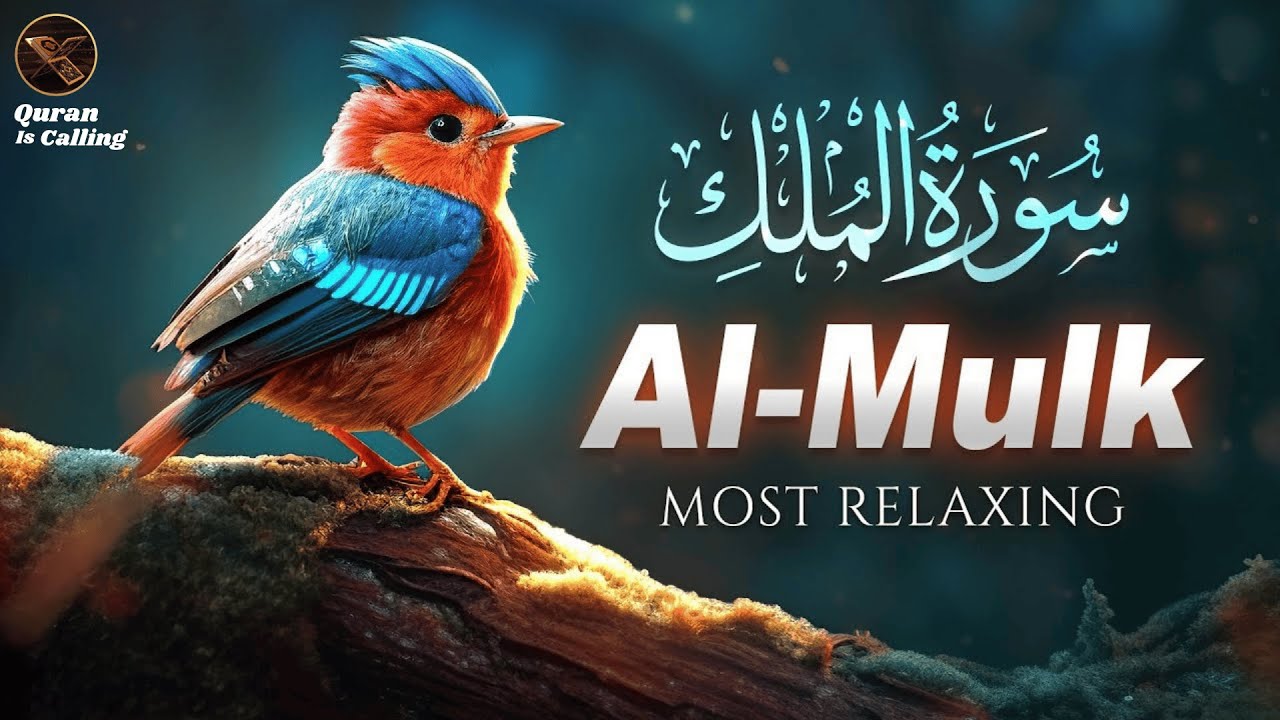 Surah Mulk Surat Mulk | سورة الملك | Quran is Calling