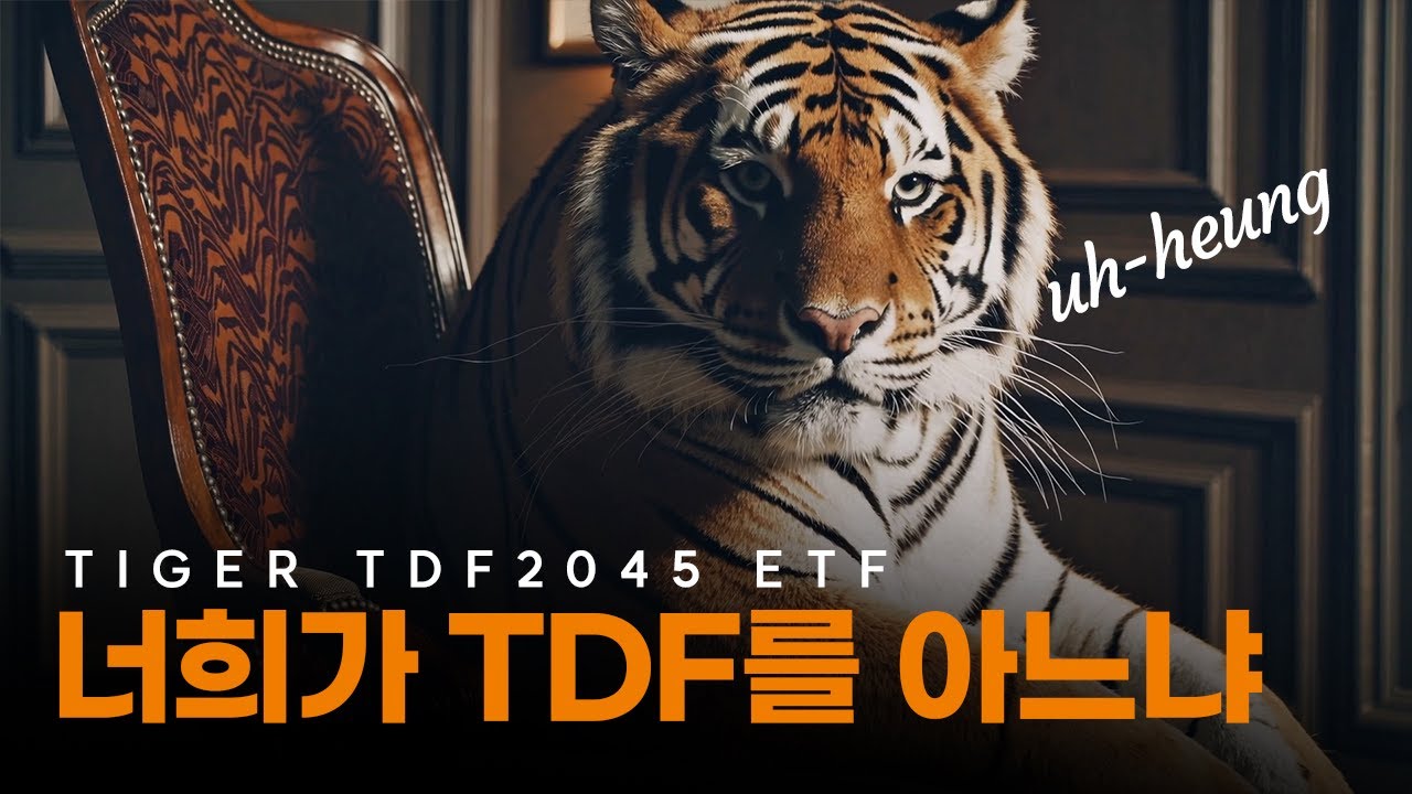 [Tiger Song] 너희가 TDF를 아느냐 (Feat. TIGER TDF2045 ETF)