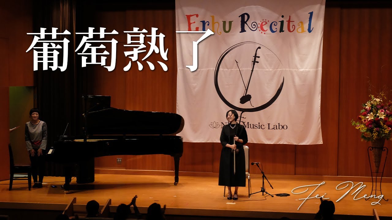 葡萄熟了｜二胡奏者 孟菲（Fei Meng） Erhu Performance