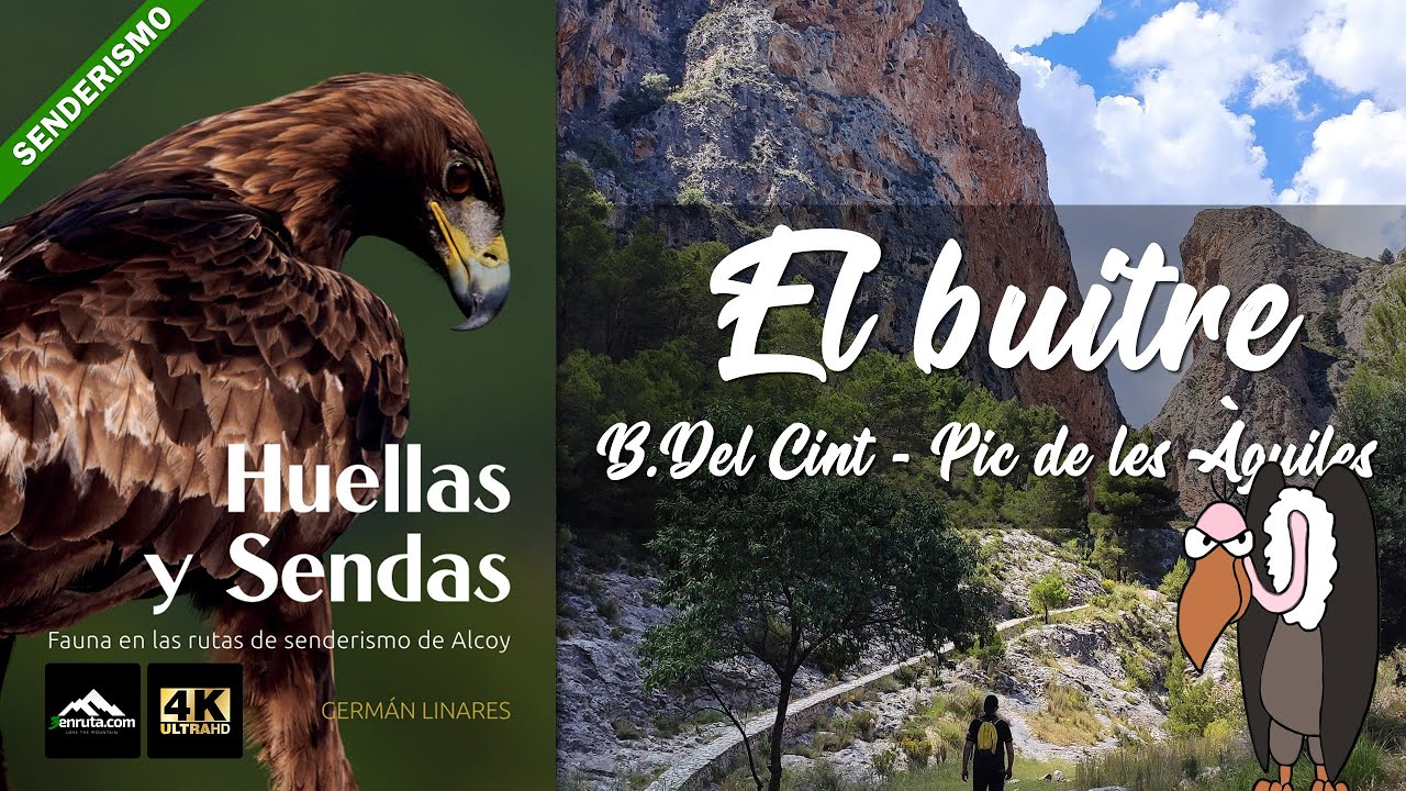 El Barranc del Cint y el Pic de les Àguiles - Huellas y Sendas C4: El Buitre - Senderismo en Alcoy