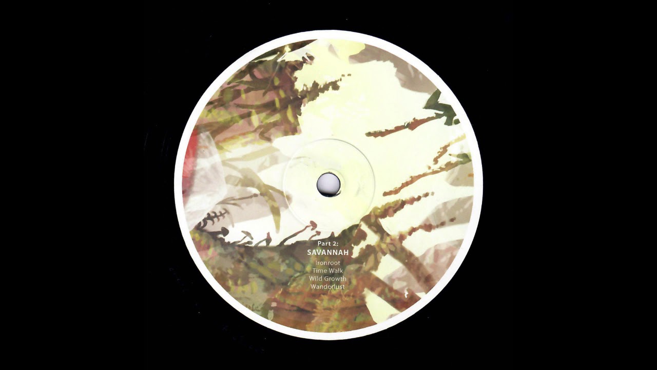 Birds ov Paradise - Ironroot [HYPNUS020B]