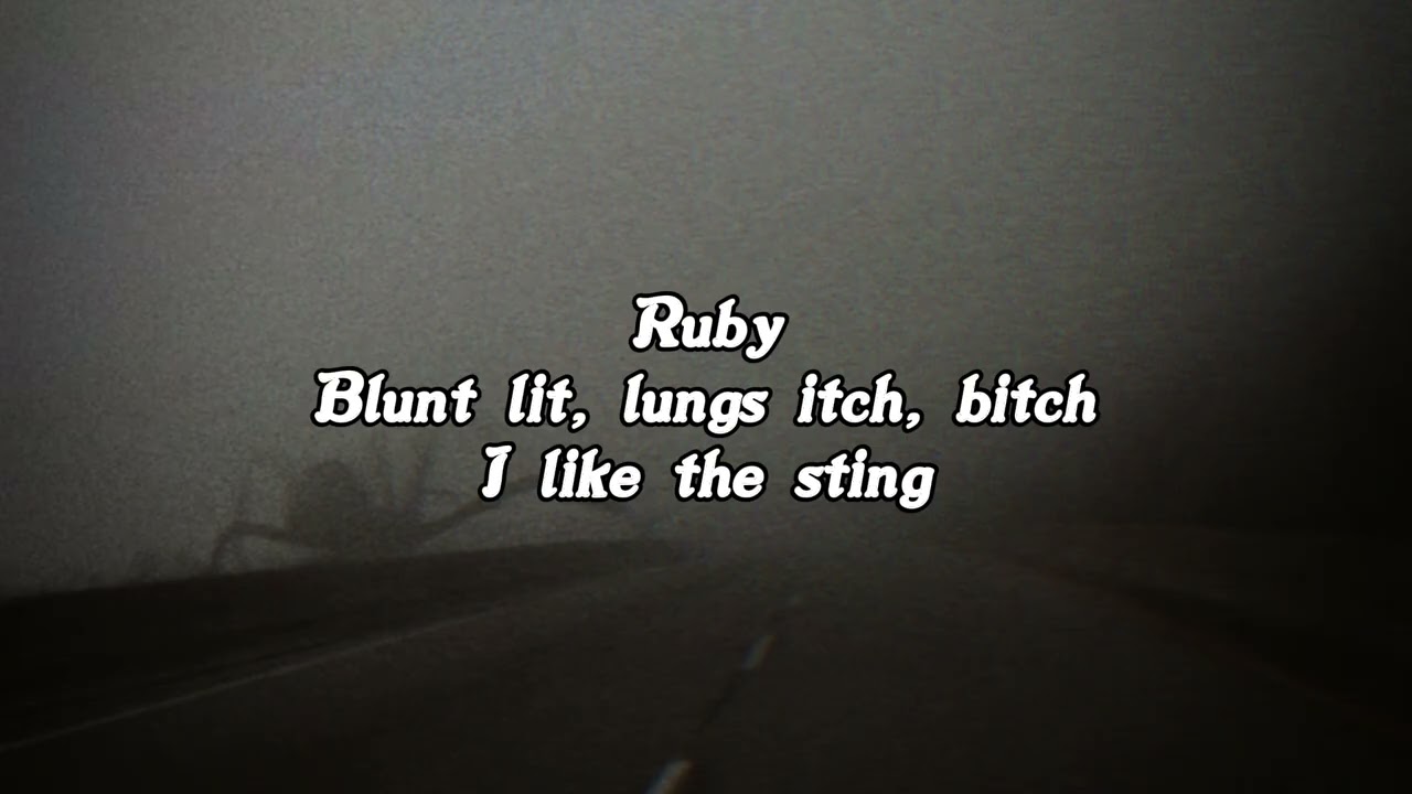 $UICIDEBOY$ - CARROLLTON (Lyrics)