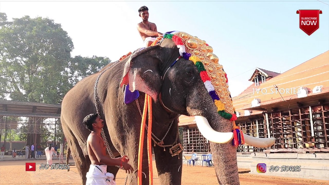 Erattupetta Ayyappan | Chengannur Mahadeva Temple | സ്വപ്‍നം സഫലമായി ഒരു ദേശത്തിന്റെ