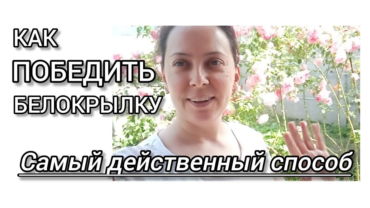 БОРЮСЬ С ВРЕДИТЕЛЯМИ 🪲БЕЗ ХИМИИ. УБИРАЮ🧹,ОБРЕЗАЮ,ПОДВЯЗЫВАЮ🌿 #рекомендации#переселенці #життявселі