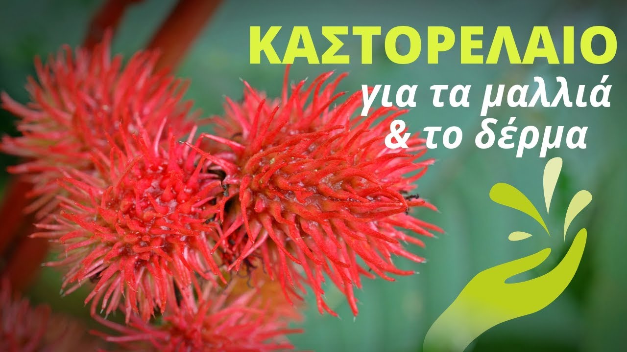 Καστορέλαιο Για τα Μαλλιά Και την Επιδερμίδα - 5 Εκπληκτικές Χρήσεις