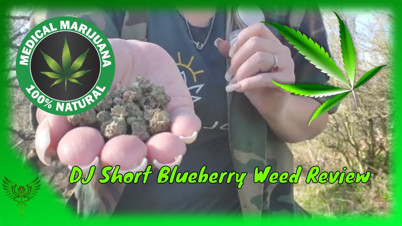 DJ Short Blueberry Weed Review from @SolFlower