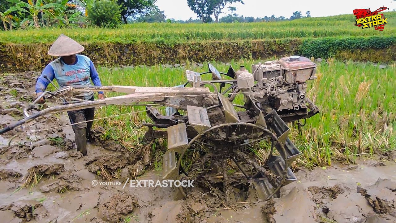 Tanahnya Lengket Tapi Gembur! Traktor Sawah Garap Lahan Tanah Lempung