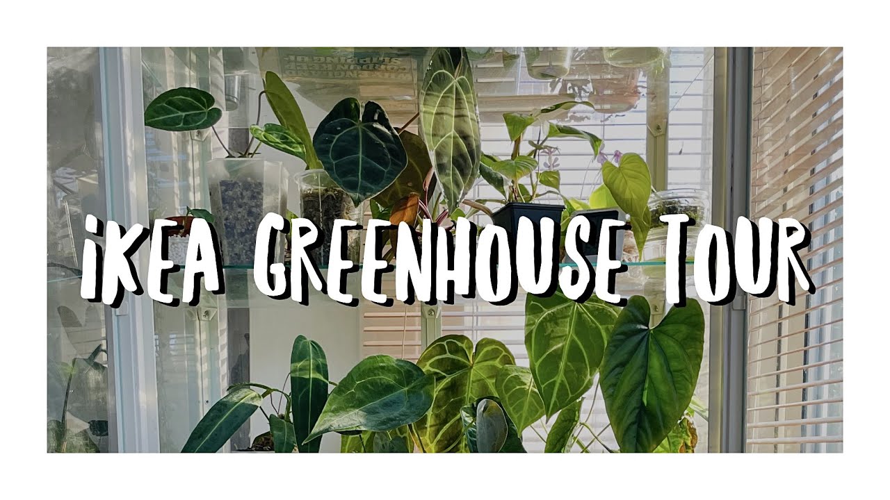 IKEA MILSBO Green House Cabinet Tour 2021 | Autumn Plant Tour