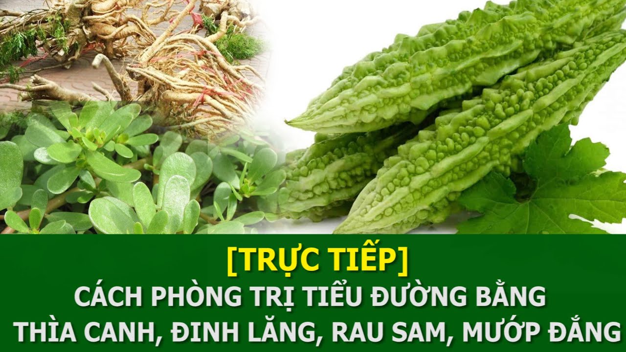 [Trực tiếp] Cách phòng trị tiểu đường bằng thìa canh, đinh lăng, rau sam, sắn dây, mướp đắng | VTC16