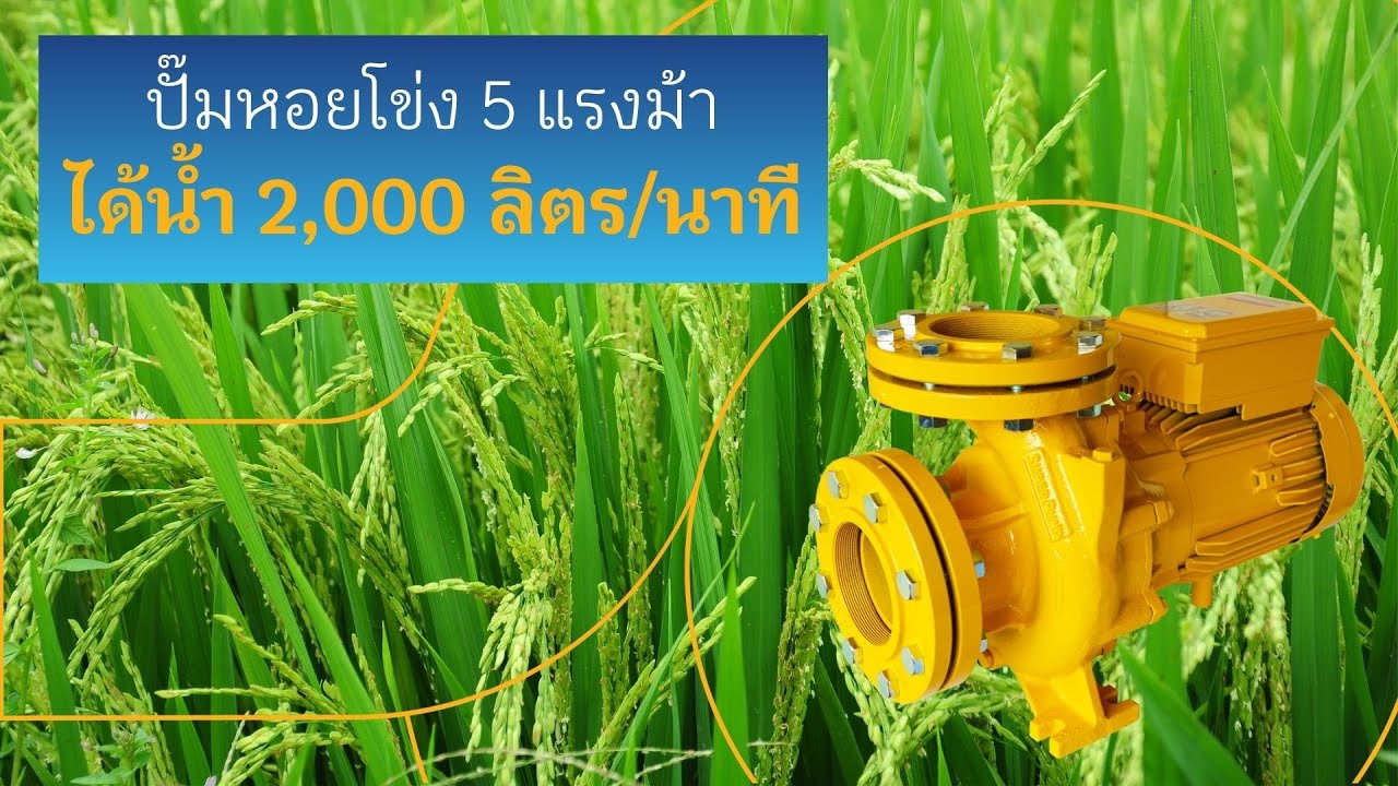 แนะนำปั๊มหอยโข่ง SuperPump ท่อ 4นิ้ว  WCLL-3705FS