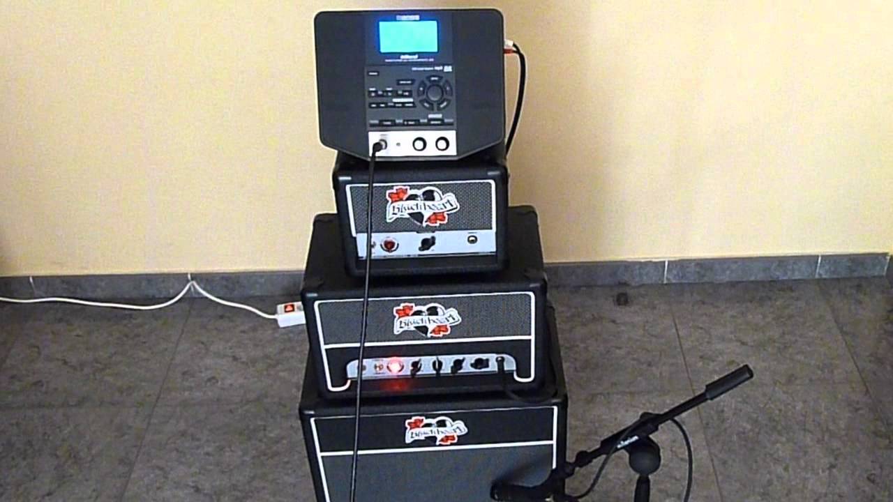 BOSS JS-8 eBand + Tube amp head + Gibson SG Standard